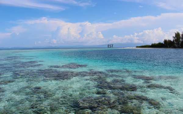 Raja Ampat - Tabari Dive Lodge 1