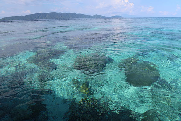 Raja Ampat - Tabari Dive Lodge 11