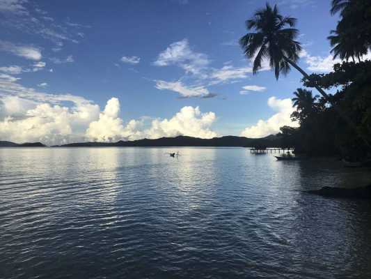 Raja Ampat - Tabari Dive Lodge 14