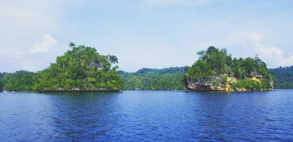 Raja Ampat - Tabari Dive Lodge 24