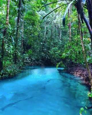 Raja Ampat - Kalibiru river 2