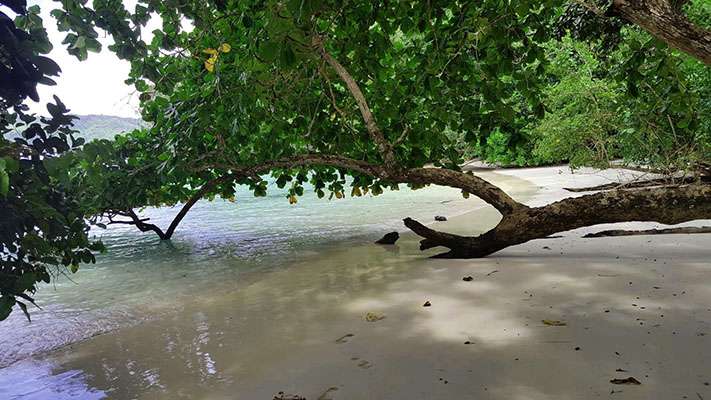 Raja Ampat - Tabari Dive Lodge 4