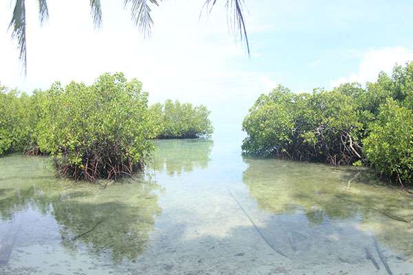 Raja Ampat - Tabari Dive Lodge 9