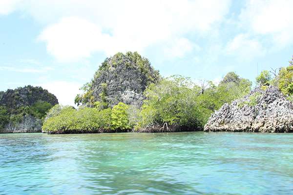Raja Ampat - Tabari Dive Lodge 14
