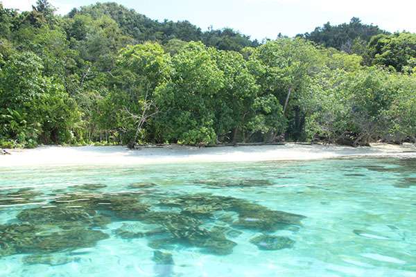 Raja Ampat - Tabari Dive Lodge 15