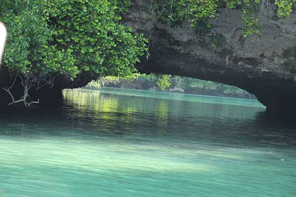 Raja Ampat - Tabari Dive Lodge 19
