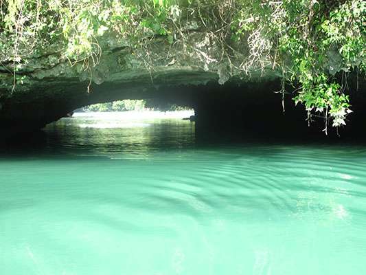 Raja Ampat - Tabari Dive Lodge 30