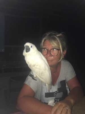 Who are we - Tabari Dive Lodge 2